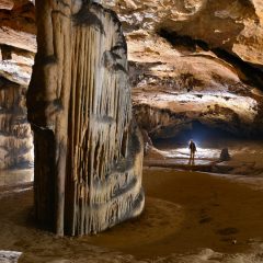 Grotte de Bédeilhac